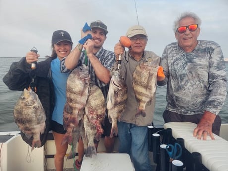 Sheepshead Fishing in Galveston, Texas