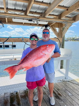 Red Snapper Fishing in Orange Beach, Alabama