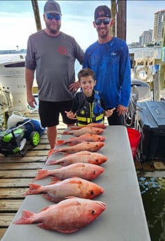 Red Snapper Fishing in Destin, Florida