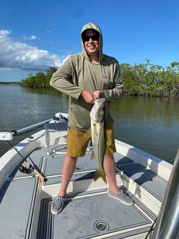 Snook Fishing in Key Largo, Florida