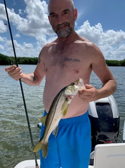 Largemouth Bass fishing in Clearwater, Florida