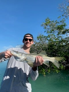 Snook Fishing in Key Largo, Florida