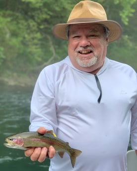 Rainbow Trout fishing in Leicester, North Carolina