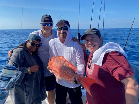 Red Snapper Fishing in Key West, Florida