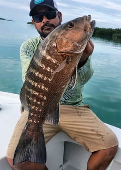 Cubera Snapper fishing in Tavernier, Florida