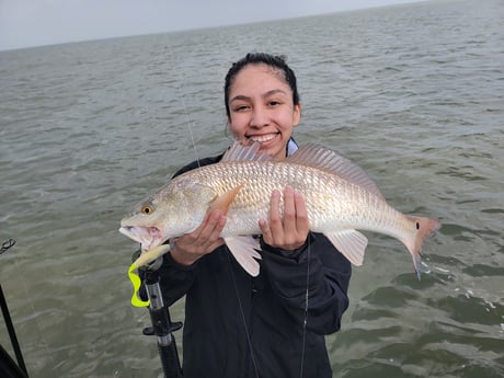 Redfish Fishing in Rio Hondo, Texas