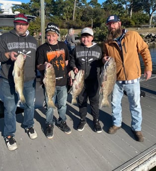 Gag Grouper fishing in Clearwater, Florida