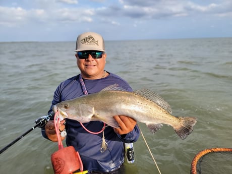 Speckled Trout / Spotted Seatrout Fishing in Rio Hondo, Texas