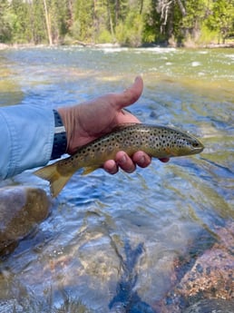 Fishing in Hume, California