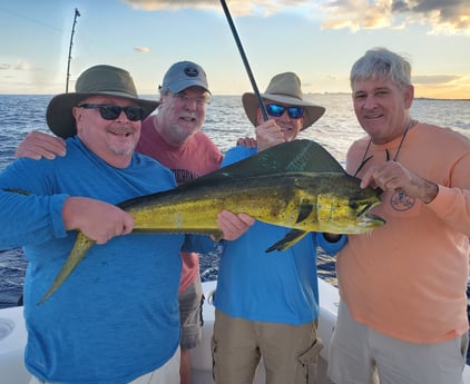 Mahi Mahi / Dorado fishing in Pompano Beach, Florida