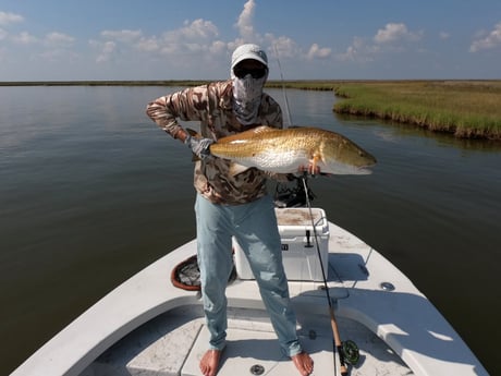 Fishing in New Orleans, Louisiana