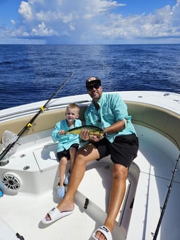 Mahi Mahi Fishing in Fort Lauderdale, Florida