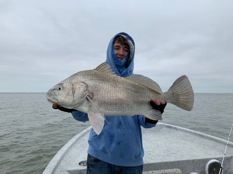 Black Drum fishing in Aransas Pass, Texas