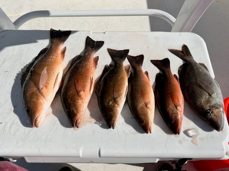 Fishing in Hudson, Florida