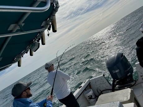 Fishing in Wilmington, North Carolina