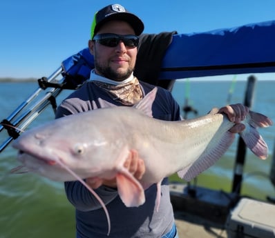 Blue Catfish fishing in Dallas, Texas