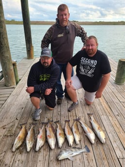 Black Drum, Redfish fishing in Port O&#039;Connor, Texas