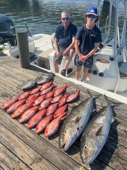 Amberjack, Triggerfish, Vermillion Snapper Fishing in Pensacola, Florida