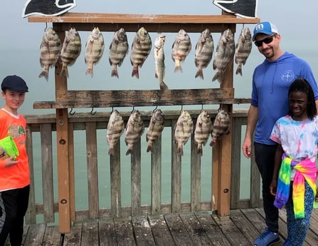 Sheepshead, Speckled Trout / Spotted Seatrout fishing in South Padre Island, Texas