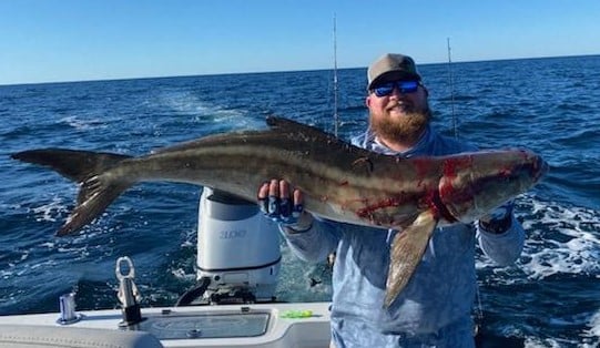 Cobia Fishing in Jacksonville, Florida