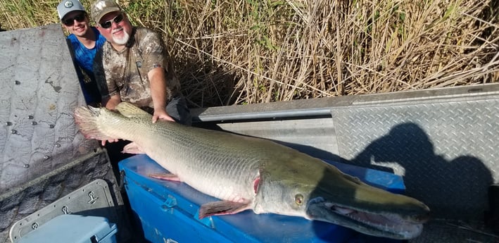 Alligator Gar fishing in Livingston, Texas