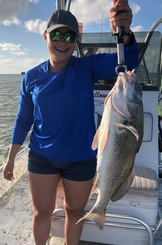 Black Drum fishing in Port Isabel, Texas