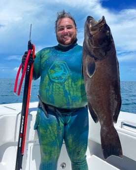 Black Grouper Fishing in Islamorada, Florida