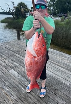 Red Snapper fishing in Pensacola, Florida