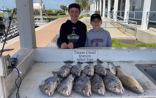 Black Drum, Redfish fishing in Galveston, Texas