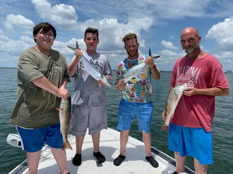 Largemouth Bass fishing in Clearwater, Florida