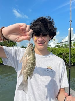 Fishing in Sarasota, Florida