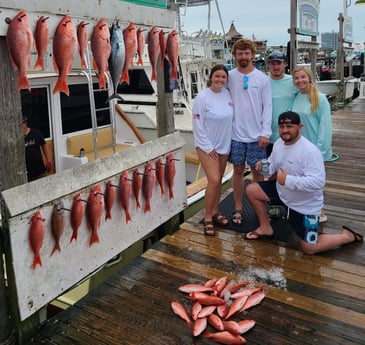 False Albacore, Red Snapper, Vermillion Snapper Fishing in Destin, Florida