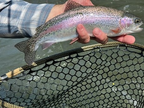 Fishing in Bend, Oregon