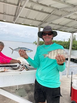 Gag Grouper fishing in St. Petersburg, Florida