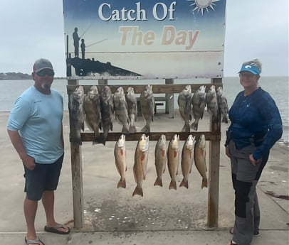 Black Drum, Redfish Fishing in Rockport, Texas