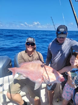 Goliath Grouper fishing in Clearwater, Florida