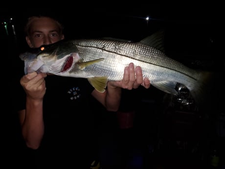 Fishing in Port Orange, Florida