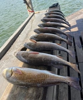 Redfish, Speckled Trout Fishing in Rockport, Texas