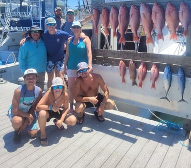 Little Tunny / False Albacore, Red Snapper fishing in Destin, Florida