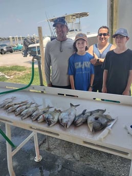 Speckled Trout, Triggerfish Fishing in Jacksonville, Florida