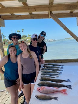 Mangrove Snapper, Red Snapper, Redfish, Speckled Trout Fishing in Ingleside, Texas