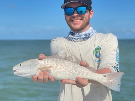 Fishing in Sarasota, Florida