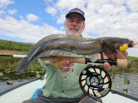 Fishing in Fort Lauderdale, Florida