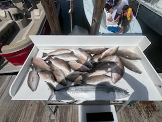 Fishing in Marathon, Florida