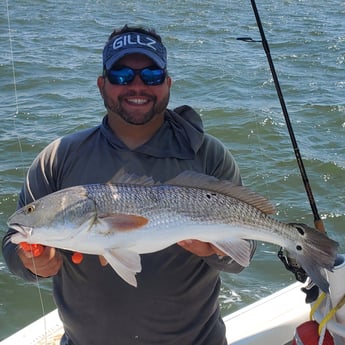 Redfish fishing in Mount Pleasant, South Carolina