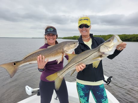 Redfish, Snook Fishing in Clearwater, Florida