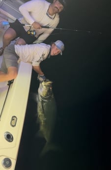 Fishing in Key West, Florida