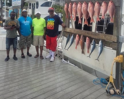 King Mackerel / Kingfish, Little Tunny / False Albacore, Red Snapper fishing in Destin, Florida