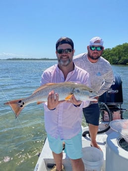 Redfish Fishing in Holmes Beach, Florida