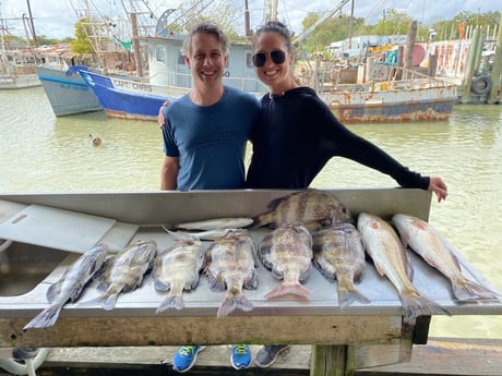 Black Drum, Redfish, Sheepshead fishing in Galveston, Texas